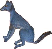 Blue jackal