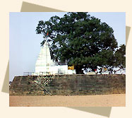chhattishgarh