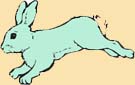 Panchatantra stories - Hare