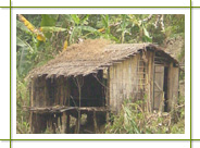 chattishgarh