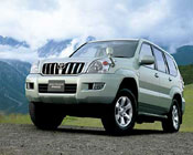 Prado Model prado model
