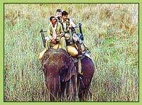 indiaparenting