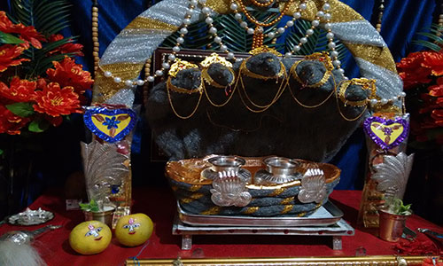 Preparing for Anantha Padmanabha