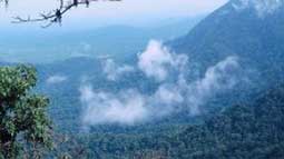 Agumbe