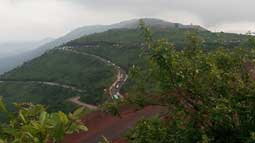 Baila Dila Hillstation