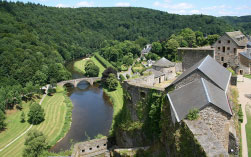 Bouillon tree insurance