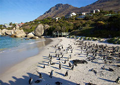 Boulders Beach
