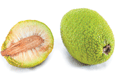 Bread Fruit