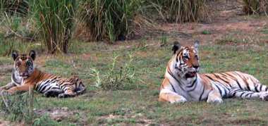 chandraprabha-wildlife-sanctuary