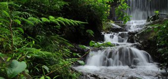 chethaiayam-waterfall