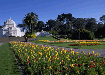 Golden Gate Park