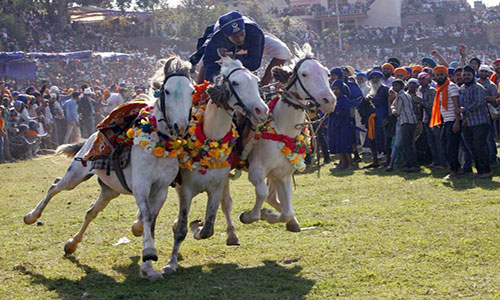 Holla Mohalla Festival Images