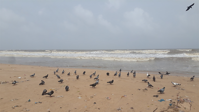 Juhu Beach 