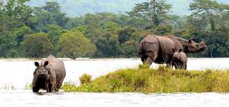 kaziranga-national-park