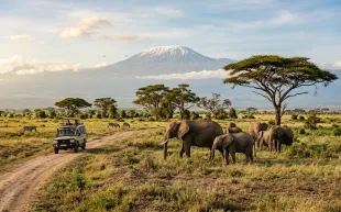 Travel insurance for Kenya from India