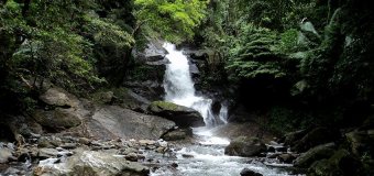 meenvallam-waterfall