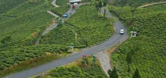 mirik-hill