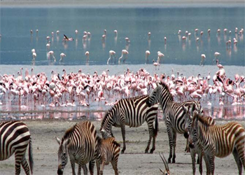 Lake Nakuru National Park