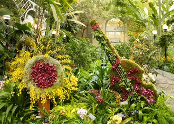 National Orchid Garden