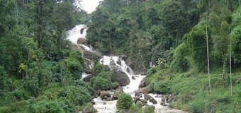 nyayamakad-waterfall