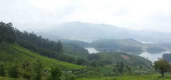 ooty