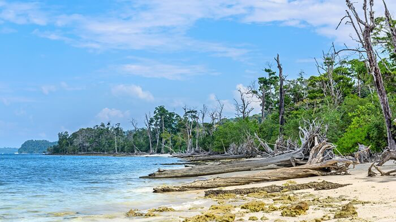  Raman Bageecha Beach