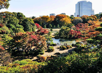 rikugien garden
