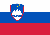 Slovenia Flag