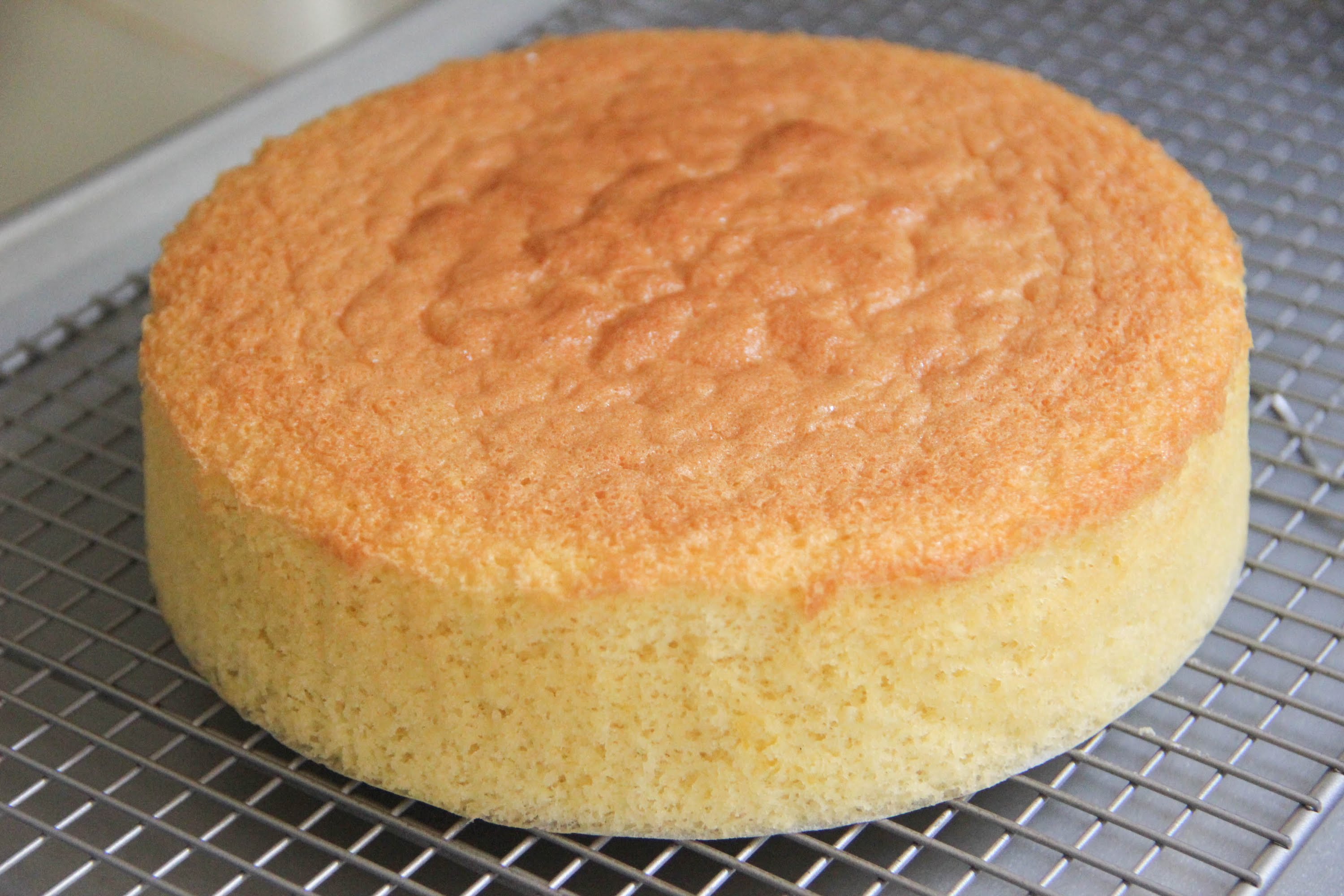 sponge-cake