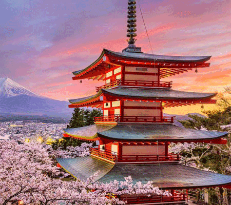 tokyo travel insurance