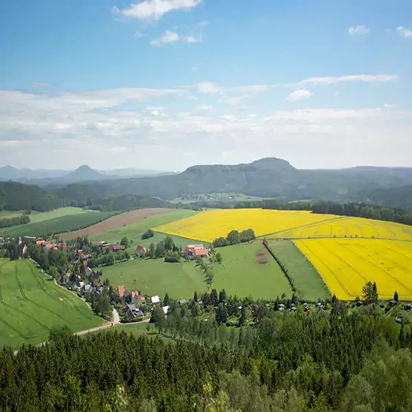 switzerland insurance