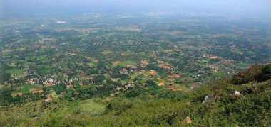 yelagiri-hills